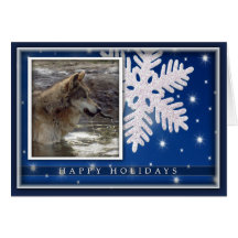 c-2011-grey-wolf-030 greeting cards