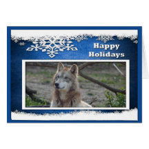 c-2011-grey-wolf-037 greeting card