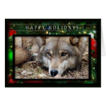 c-2011-grey-wolf-045 cards