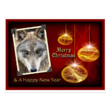 c-2011-grey-wolf-047 post cards