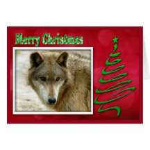 c-2011-grey-wolf-048 greeting cards