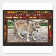 c-2011-grey-wolf-051 autocollant