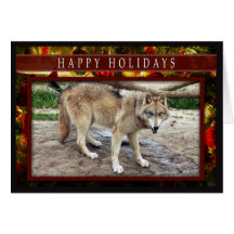 c-2011-grey-wolf-051 greeting cards