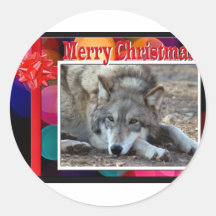 c-2011-grey-wolf-052 autocollants