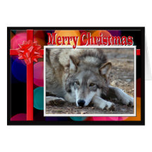 c-2011-grey-wolf-052 greeting cards