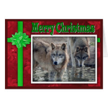 c-2011-grey-wolf-053 greeting card