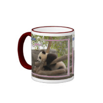 c-2011-panda-0019 mugs