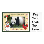 c-2011-panda-0021