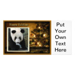c-2011-panda-0030