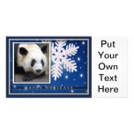 c-2011-panda-0047