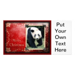 c-2011-panda-0074
