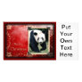 c-2011-panda-0074