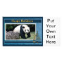 c-2011-panda-0085