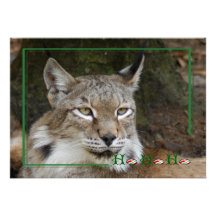 c-2011-siberian-lynx-002 invitations personnalisées