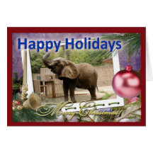 c-african-elephant-201-d cards
