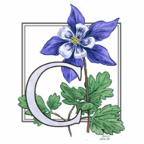 C for Columbine Monogram Photo Sculpture