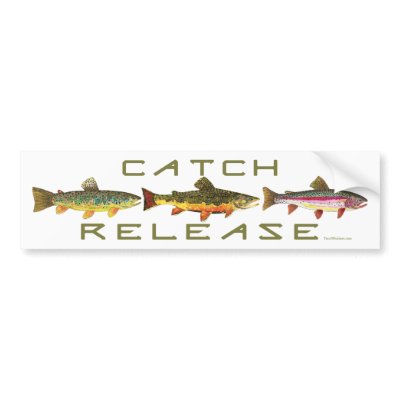 C & R - Trout Bumper Stickers by TroutWhiskers