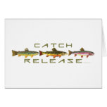 C & R - Trout