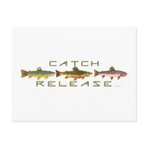 C & R - Trout