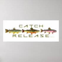 . C & R - Trout