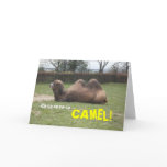 Ca-ca-ca-CAMEL! Greetings Card