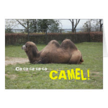 Ca-ca-ca-CAMEL! Greetings Card