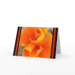 CA POPPY1 NOTECARD/BLANK