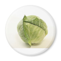 cabbage magnet