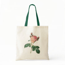 Cabbage Rose