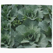 Cabbage Vinyl Binder