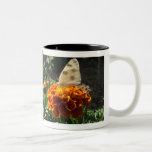 Cabbage white butterfly on a marigold coffee mug