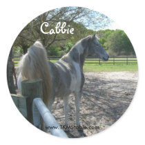 Cabbie Stickers
