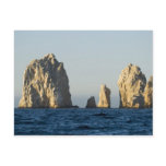 Cabo San Lucas 14 Post Cards
