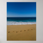 Cabo San Lucas beach 2 Poster