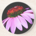 caboteur de fleur dessous de verres