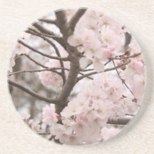 Caboteur de fleurs de cerisier dessous de verres