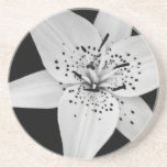 caboteur de lis dessous de verre