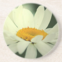 Caboteur de marguerite dessous de verres