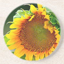 Caboteur de tournesol dessous de verres
