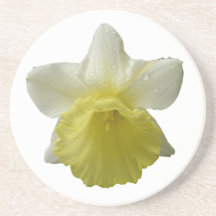 Caboteurs de fleur de jonquille d'égoutture dessous de verre