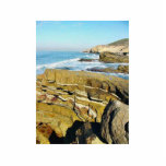 Cabrillo Tide Pools Ocean Waves Photo Cut Out