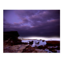 Cabrillo Tide Pools Post Card