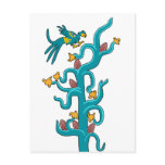 Cacao and Quetzal Post Card