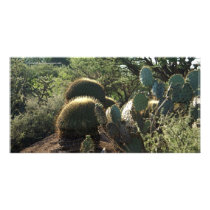 Cacti at Botanical Garden San Miguel de Allende Me Photo Card Template