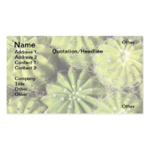 Cacti Business Card