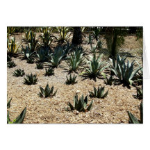 Cacti Field Card
