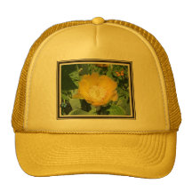 Cactus and Butterflies Trucker Hats