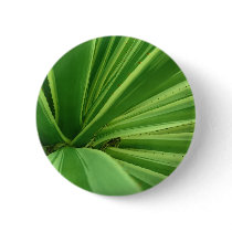Cactus Approach Button