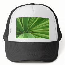 Cactus Approach Mesh Hats