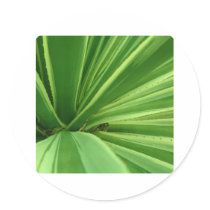Cactus Approach Stickers